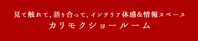 ���ĐG��Ĥ��荇���Ĥ�C���e���A�̊������X�y�[�X �J�����N�V���[���[��